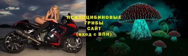 прущий лед Богданович