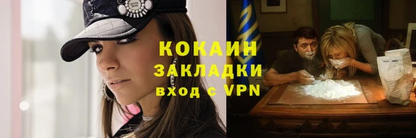 прущий лед Богданович