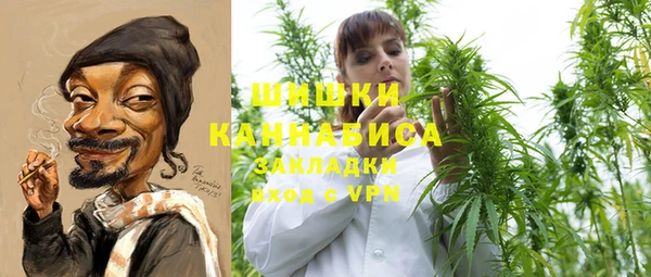 прущий лед Богданович