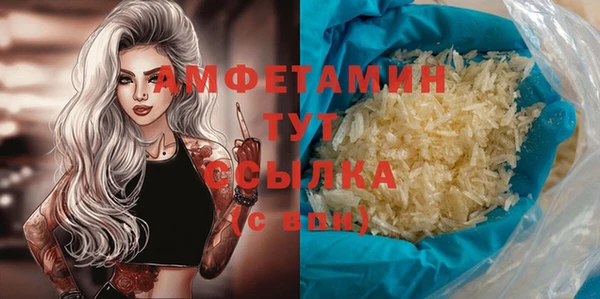 прущий лед Богданович
