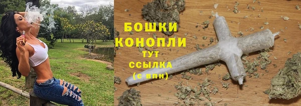 стаф Богородск