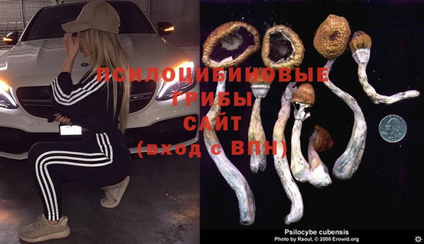 МДПВ Богородицк