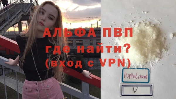 стаф Богородск
