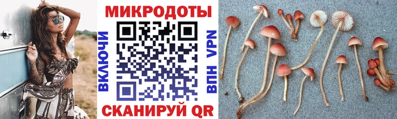 Псилоцибиновые грибы MAGIC MUSHROOMS Красный Холм